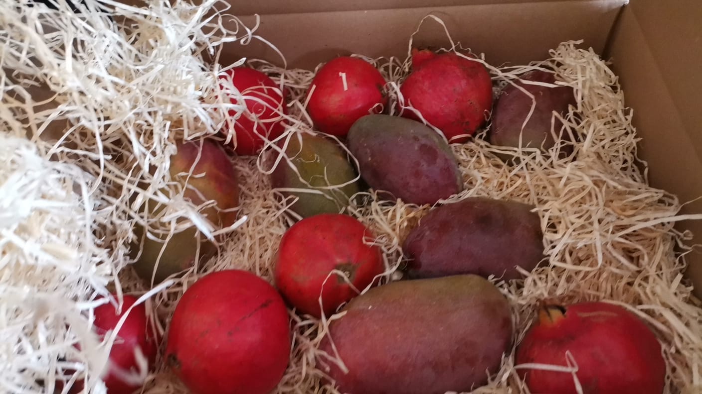 Customer photo review of Mango & Granatapfel Retterbox %