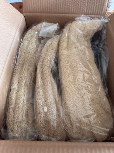 Customer photo review of Whole natural loofah 45CM