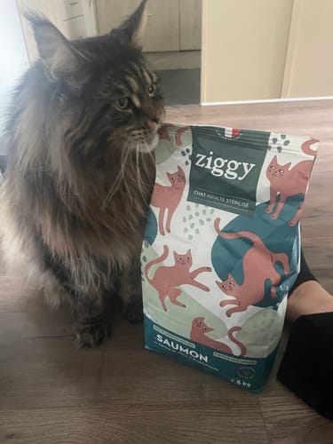 Avis photo d'un client sur Croquettes Chat Stérilisé Sans Céréales - Saumon