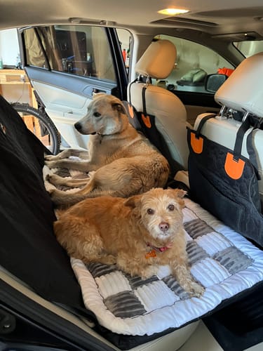 Customer photo review of RuffRover 2.0™ - Hard Bottom Back Seat Extender + (FREE Dog Bed)