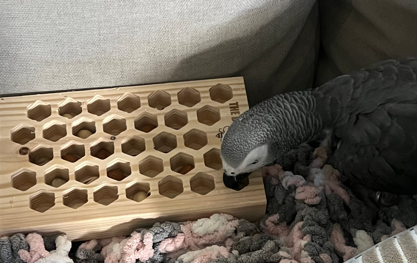 Customer photo review of The Busy Beehive - by Cheep Thrills
