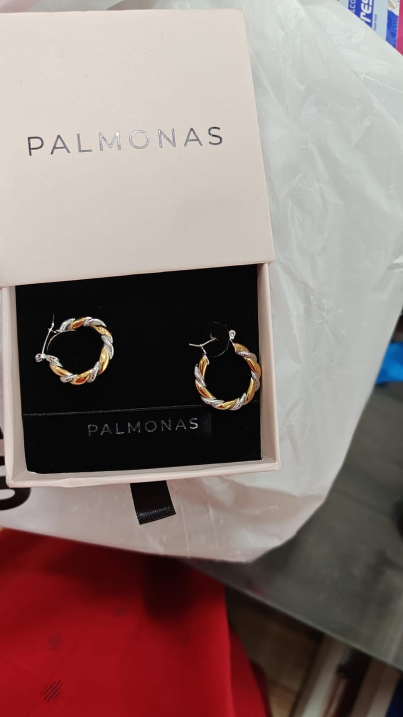 Customer photo review of Golden Silver Twisted Hoop Earrings