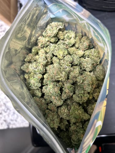 Customer photo review of Blue Dream Indoor THCA Flower Medium Buds