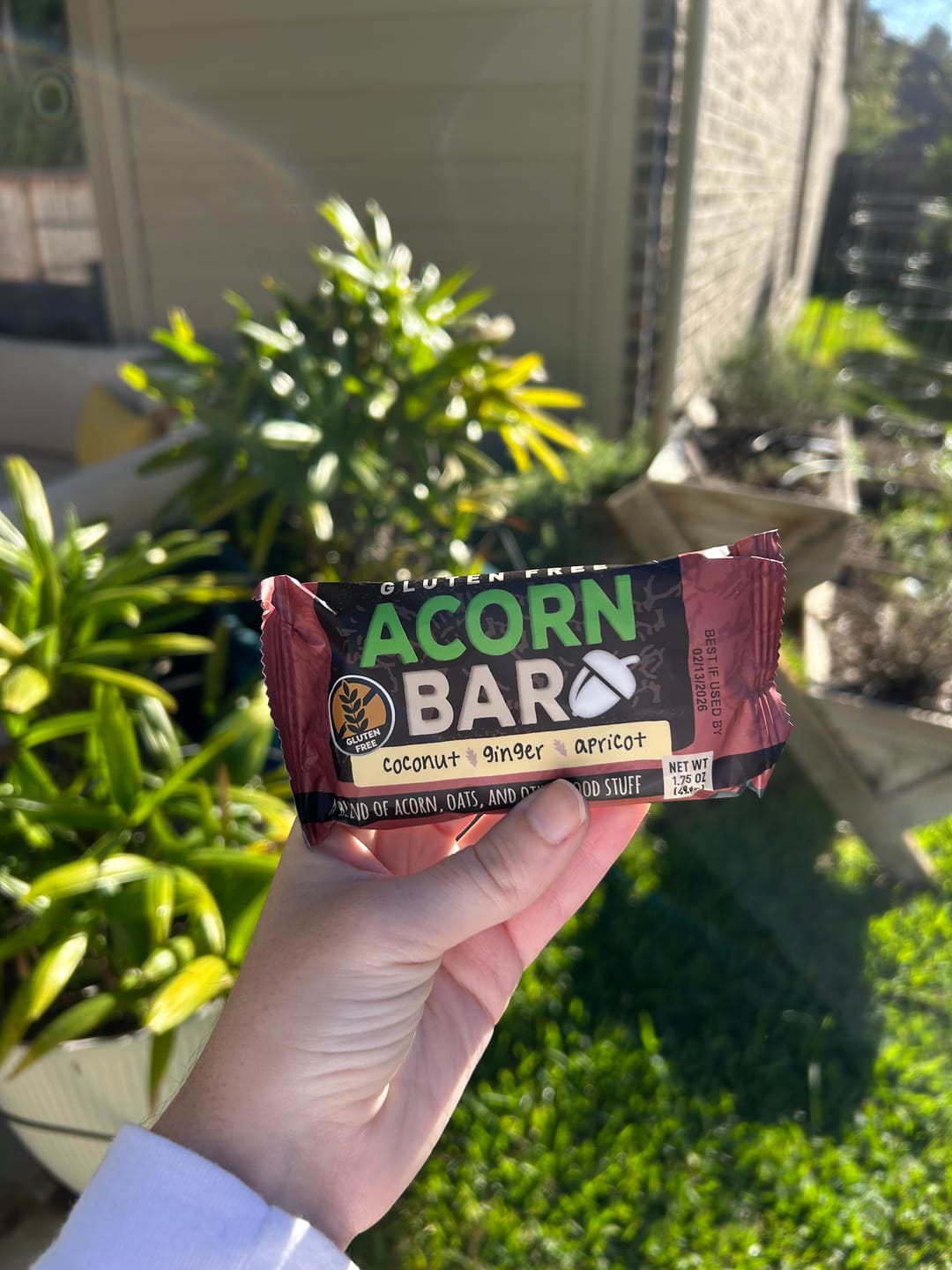 Customer photo review of AcornBar - Purely Vegan, Dairy-Free & Gluten-Free Gourmet Snack Bars