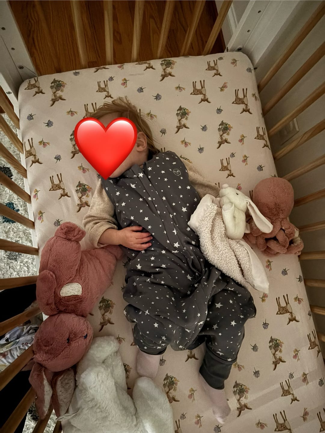 Customer photo review of 4 Season® Baby Sleep Bag with Feet, Merino Wool & Organic Cotton, Star Gray