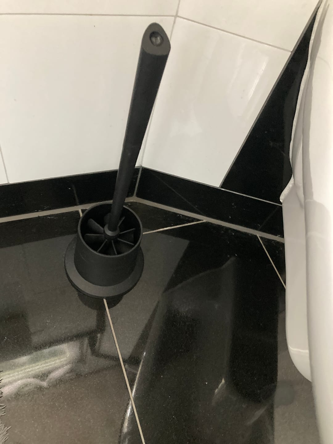 Customer photo review of Toilettenbürste HIGHLINE Set