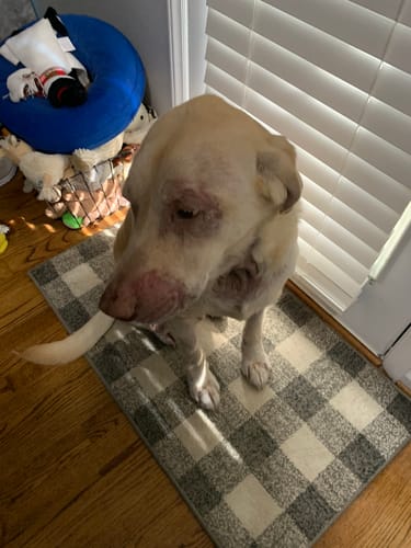 Customer photo review of DA-1™ Daily All-in-One Complete Care