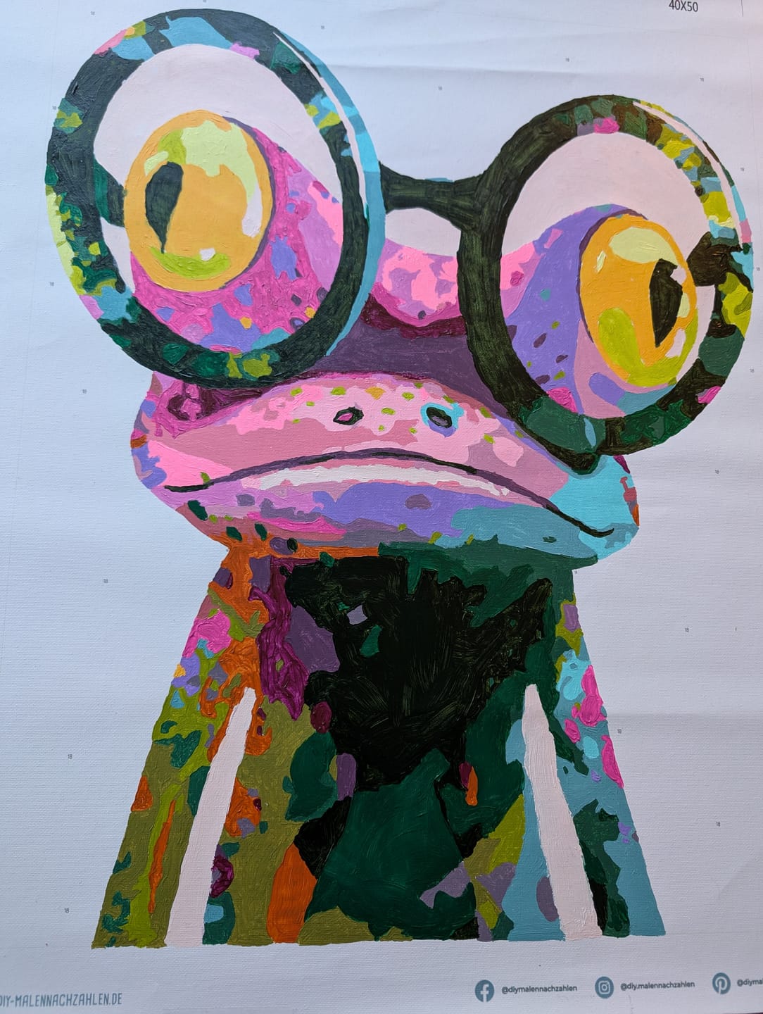 Customer photo review of Malen nach Zahlen - Fröhlicher Frosch