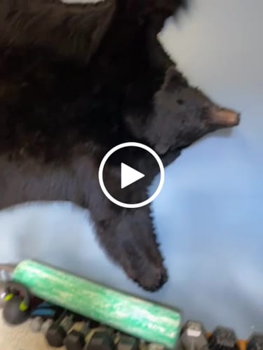 Joe K. review of Mountain Wintergreen Nicotine Pouches image 1 out of 1