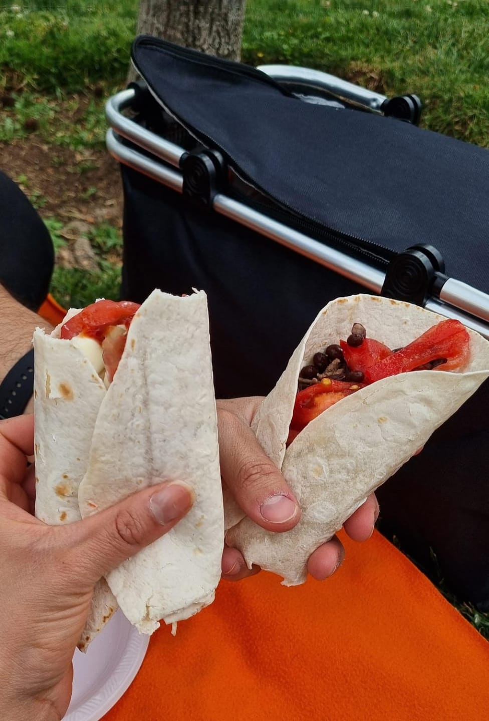 Customer photo review of Canasta de Picnic con Aislante Térmico Viajera Plegable