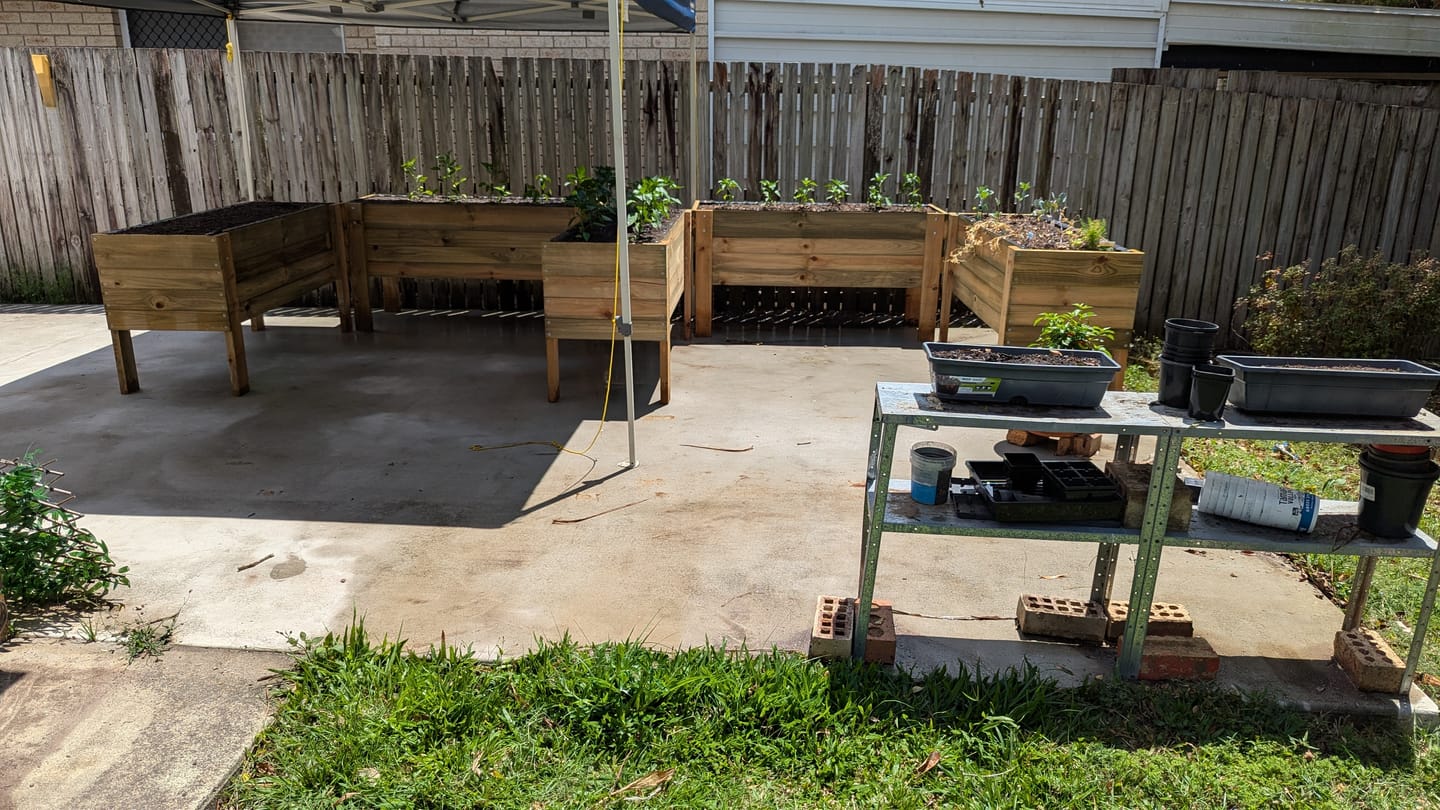 Customer photo review of LARGE Raised Garden Bed on Legs - Timber | 157x60x80cm(h)
