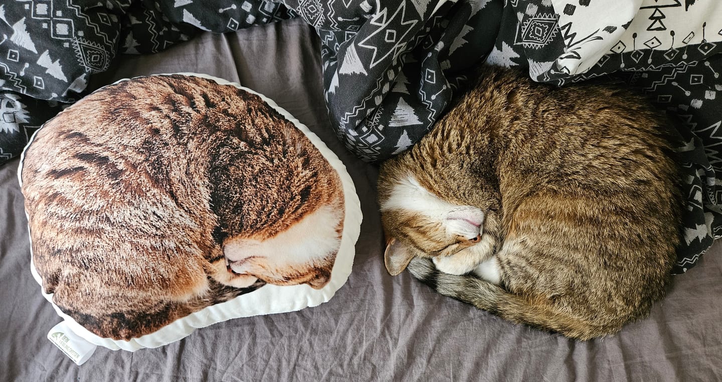 Customer photo review of Personalisiertes Katzenkissen
