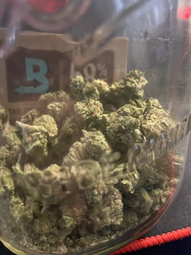 Customer photo review of THCa Greenhouse Smalls