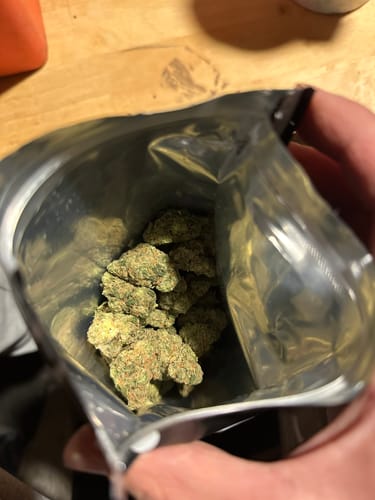 Customer photo review of Super Silver Haze