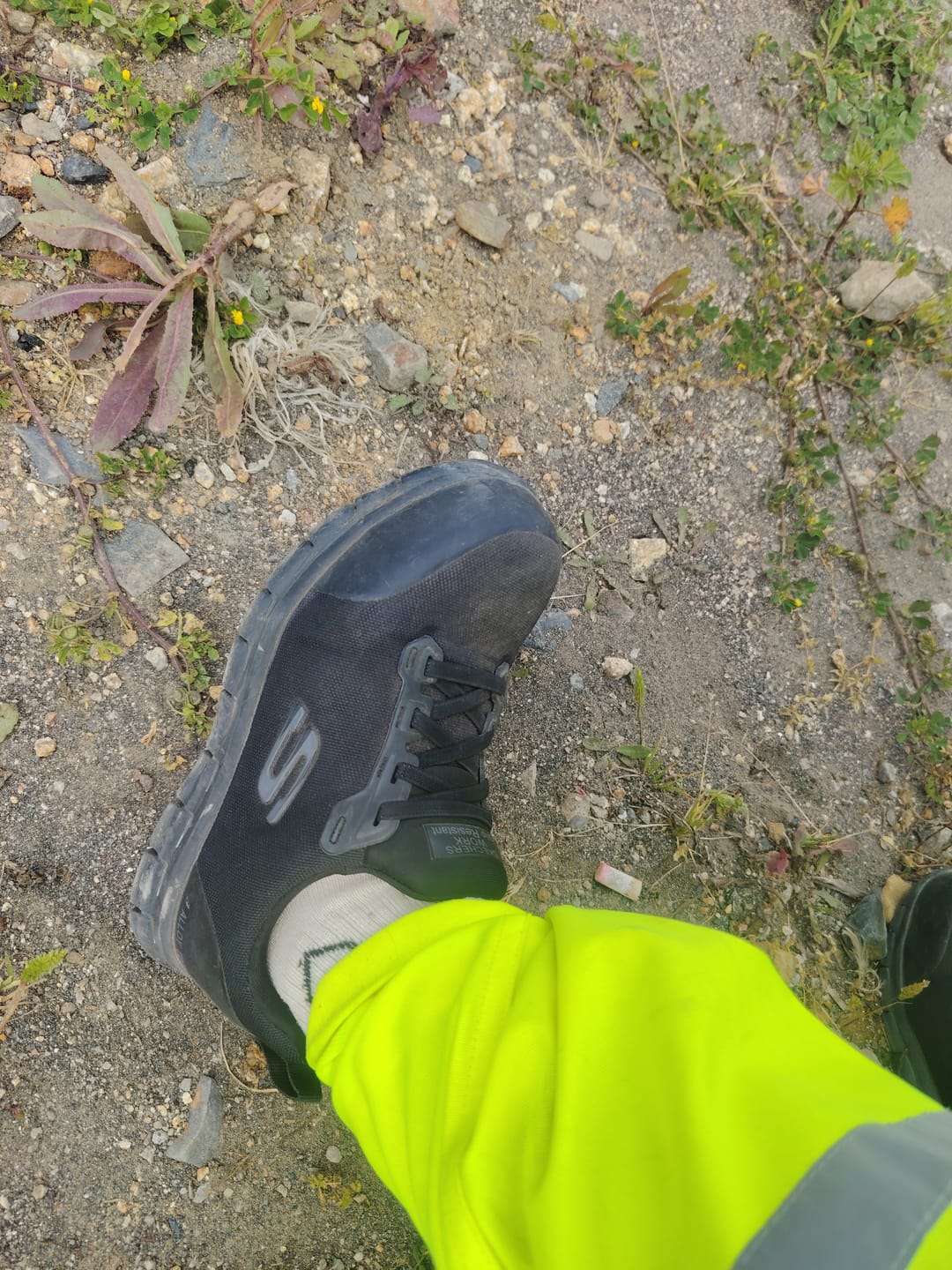 Customer photo review of Skechers Zapatilla Mujer Seguridad Irma