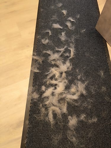 Customer photo review of Fellwunder Bürste  - Der Bestseller