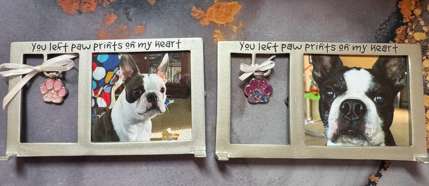 Customer photo review of Sparkle Toe Pawprint Pendant with Cremation Ashes