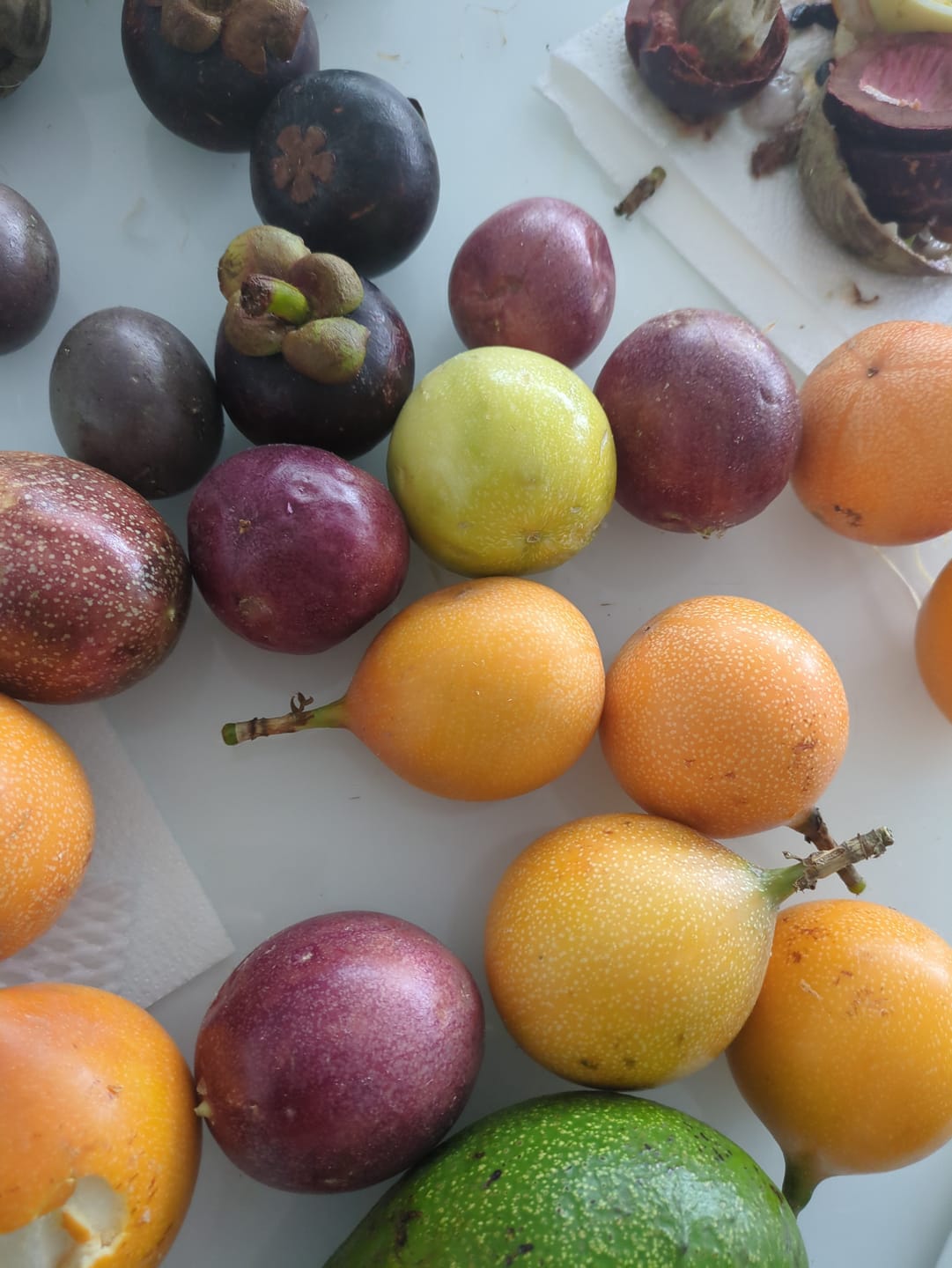 Customer photo review of "Passiflora Lovers" Maracuja-Mix Box