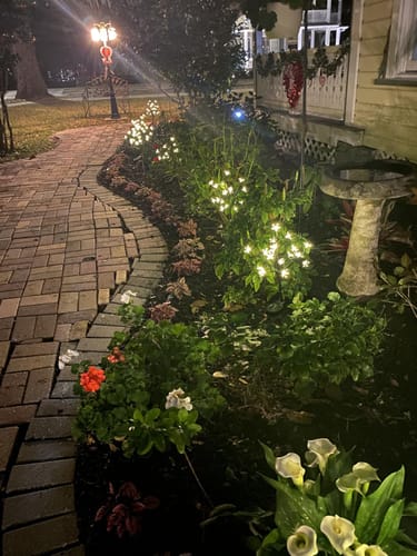 Customer photo review of Mon petit cerisier lumineux®