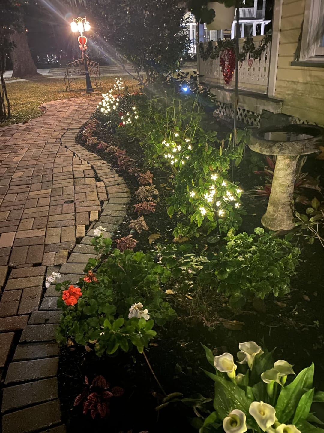 Customer photo review of Mon petit cerisier lumineux®