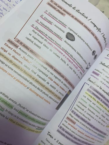 Recenzie cu fotografie de la un client despre Carte Română Bacalaureat Bacademia (temă și viziune, caracterizare, relație) - Ediția II