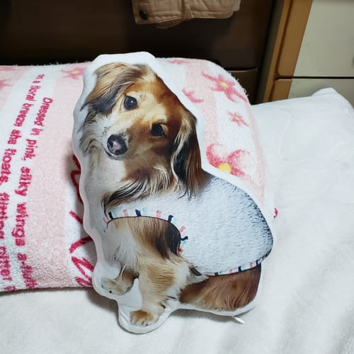 Customer photo review of 本物そっくり♪ペットフェイスバッグ