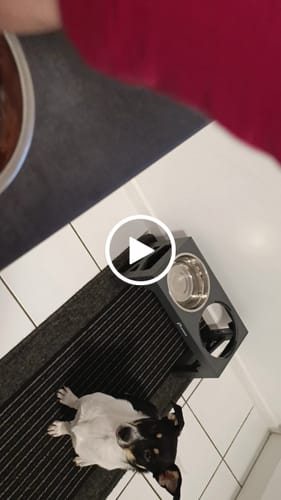 Customer video review of Frischfutter für Energiebedarf von 376 kCal/Tag