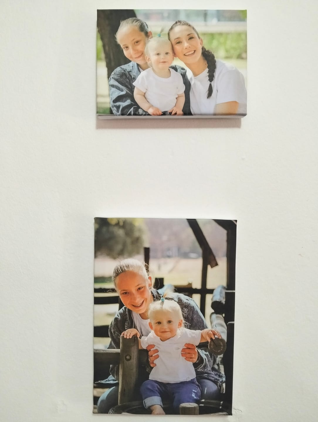 Customer photo review of 11 Piece Canvas Combo
