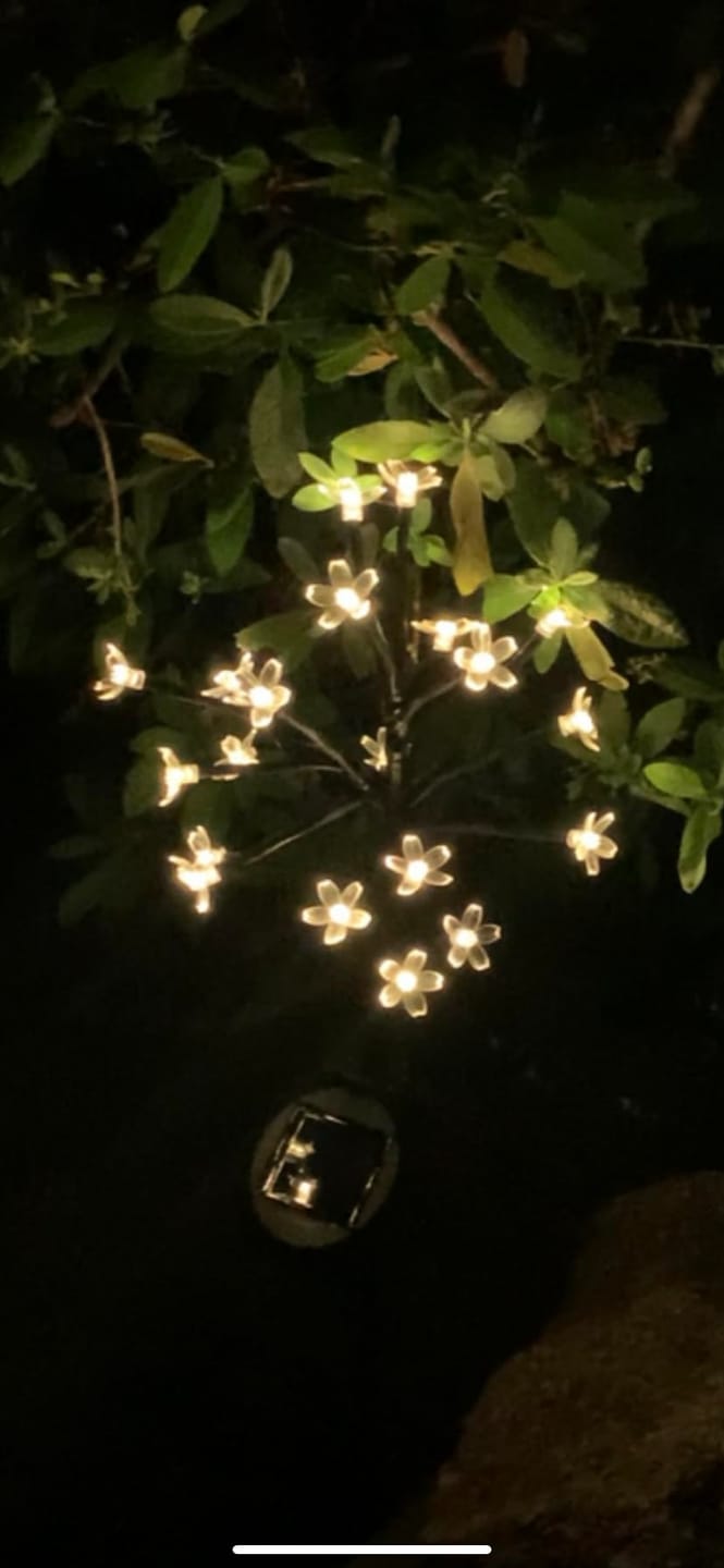 Customer photo review of Mon petit cerisier lumineux®