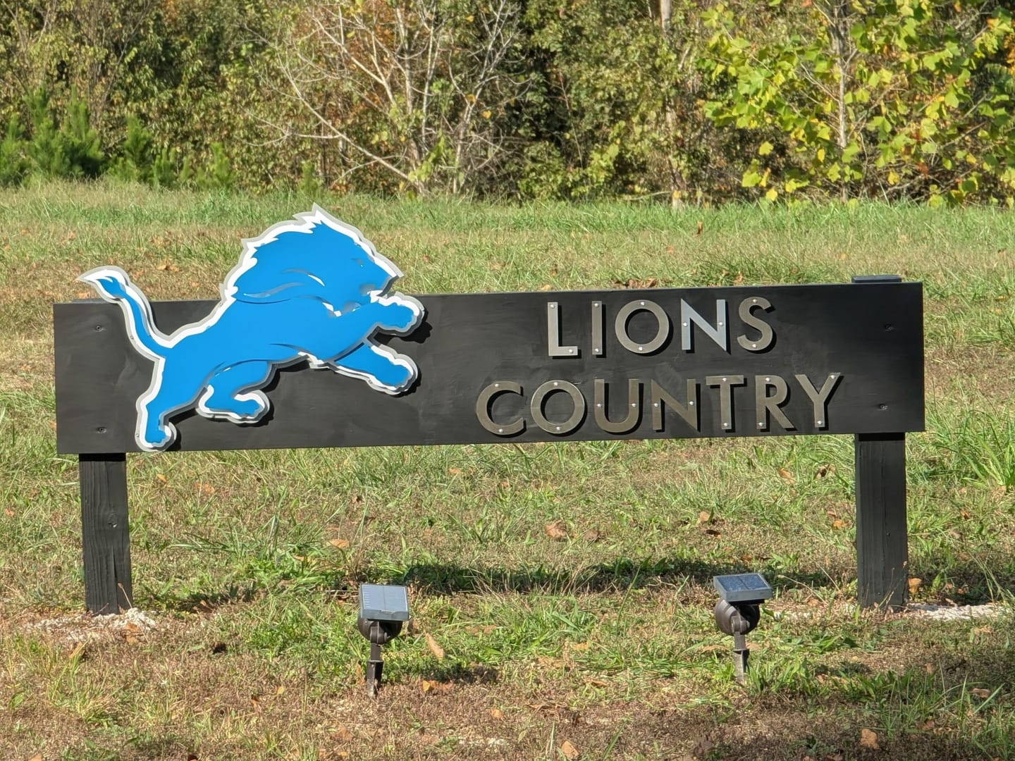 Customer photo review of Detroit Lions 3D Vintage Metal Wall Art