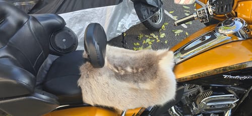 Customer photo review of Reindeer Fur Seat Pad