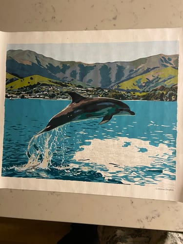 Customer photo review of Common Dolphin *NEW*