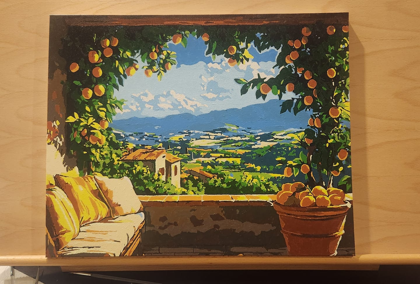 Customer photo review of Lemon Patio View