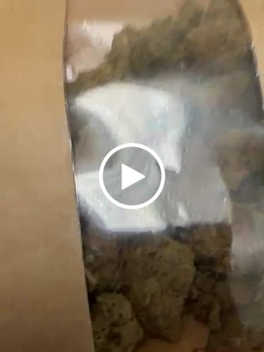 Customer video review of Northern Lights 10-OH-HHC