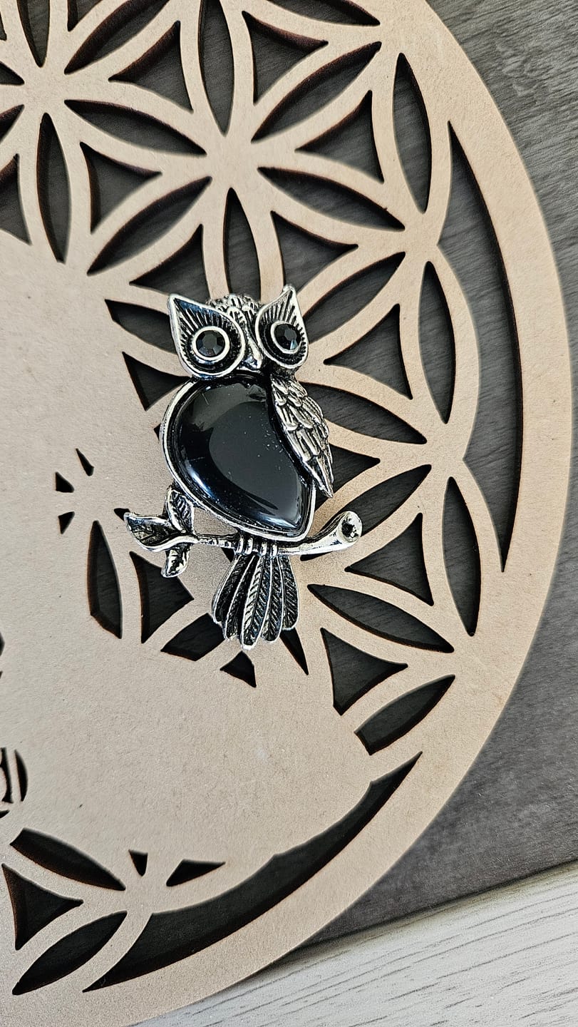 Customer photo review of Collier "Esprit du Hibou" – Guide Intuitif en Pierres de Pouvoir
