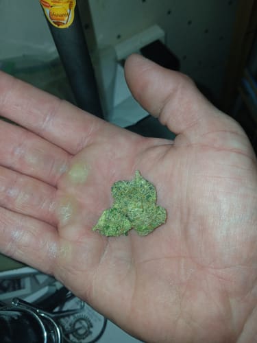 Customer photo review of Mule fuel - Hybrid