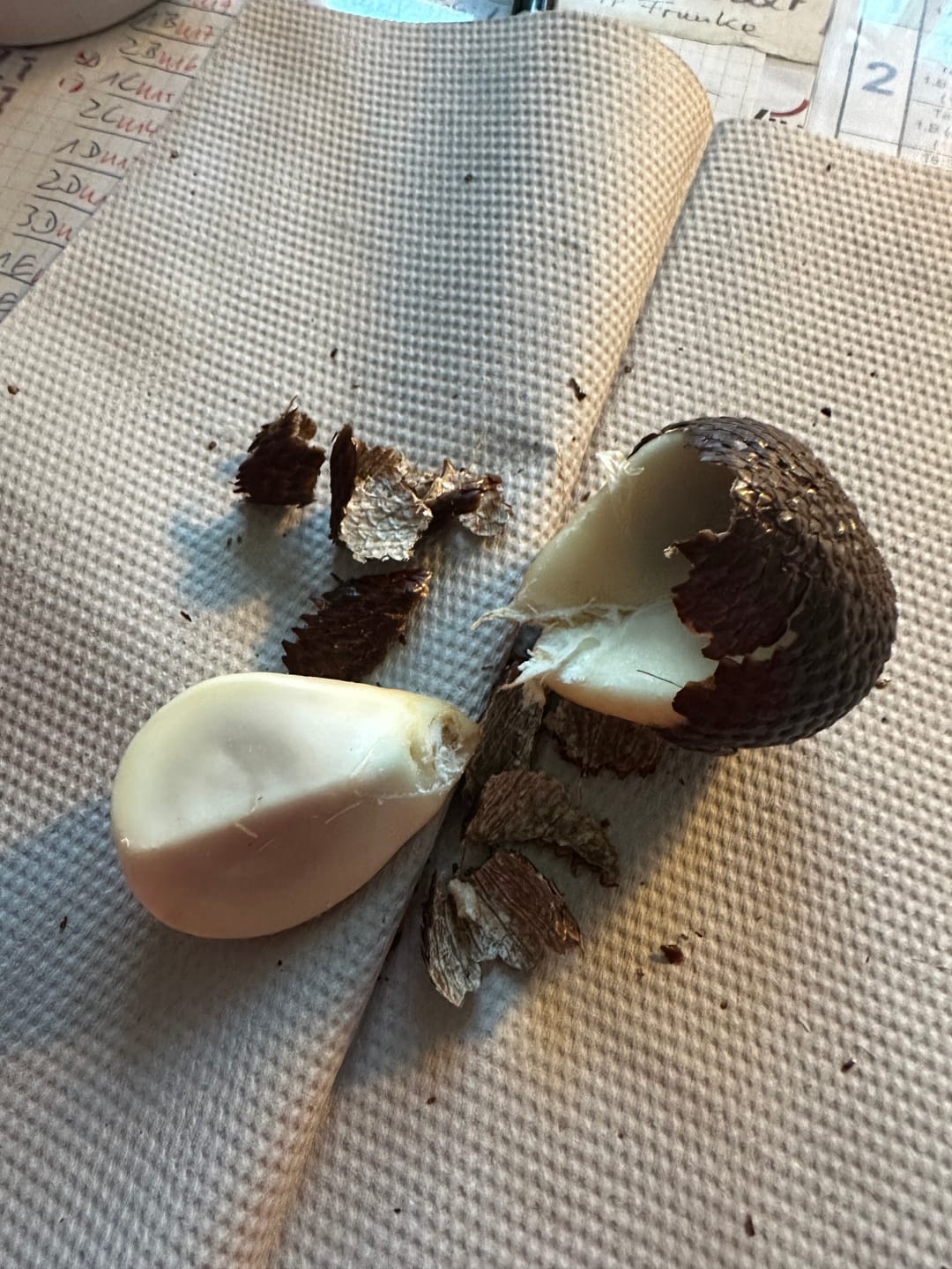 Customer photo review of Salak (Schlangenfrucht) naturbelassen