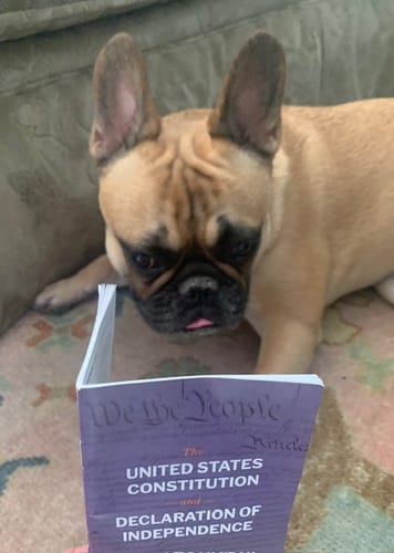 Customer photo review of U.S. Pocket Constitution