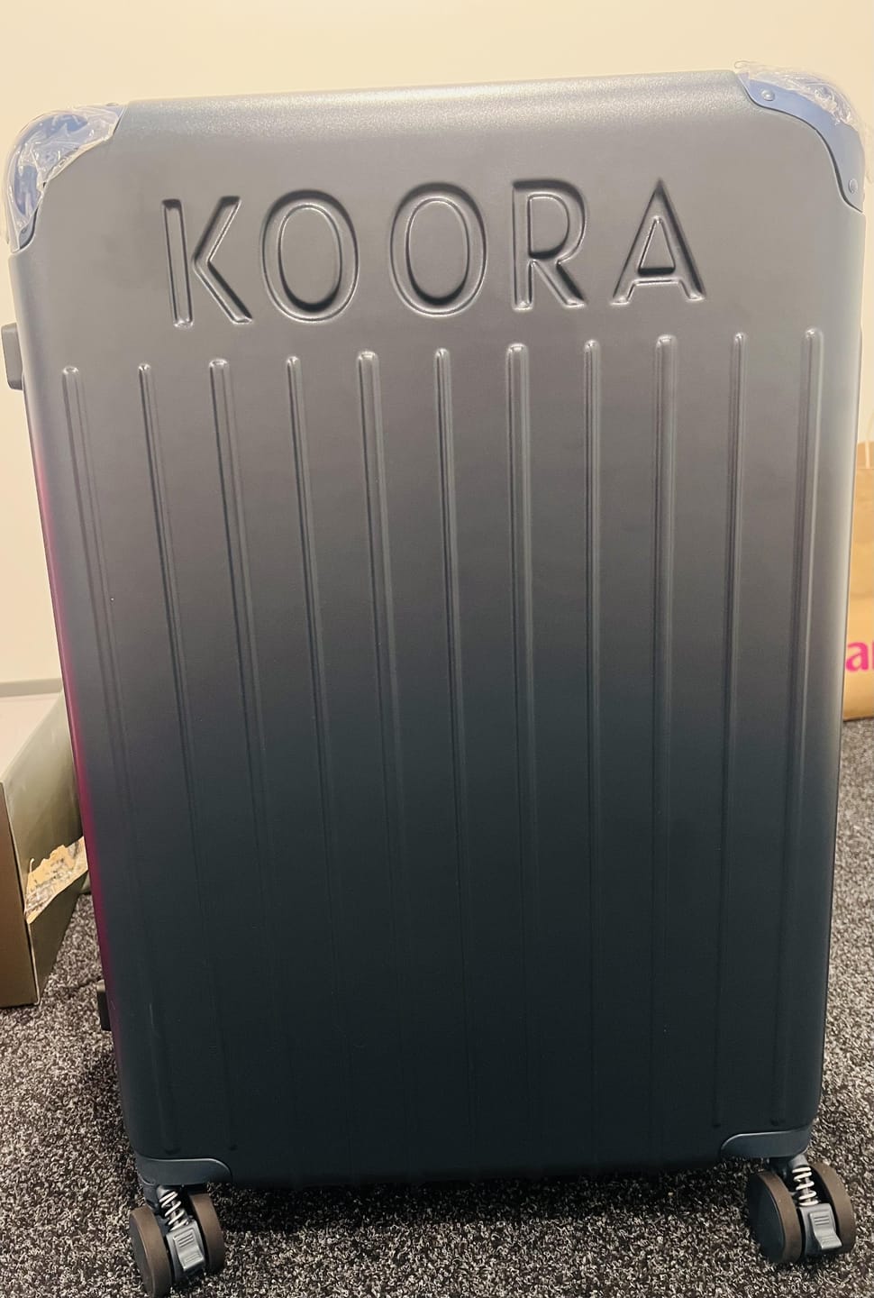 Customer photo review of Eco Lite Expandable Checked In | Large | Blue Grey