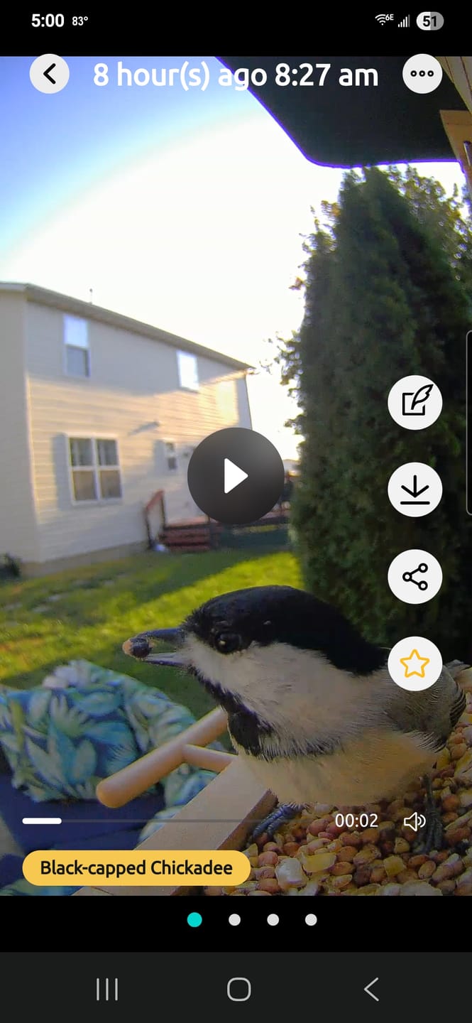 Customer photo review of Birdfy Feeder Wood - Wooden Smart Bird Feeder with Camera