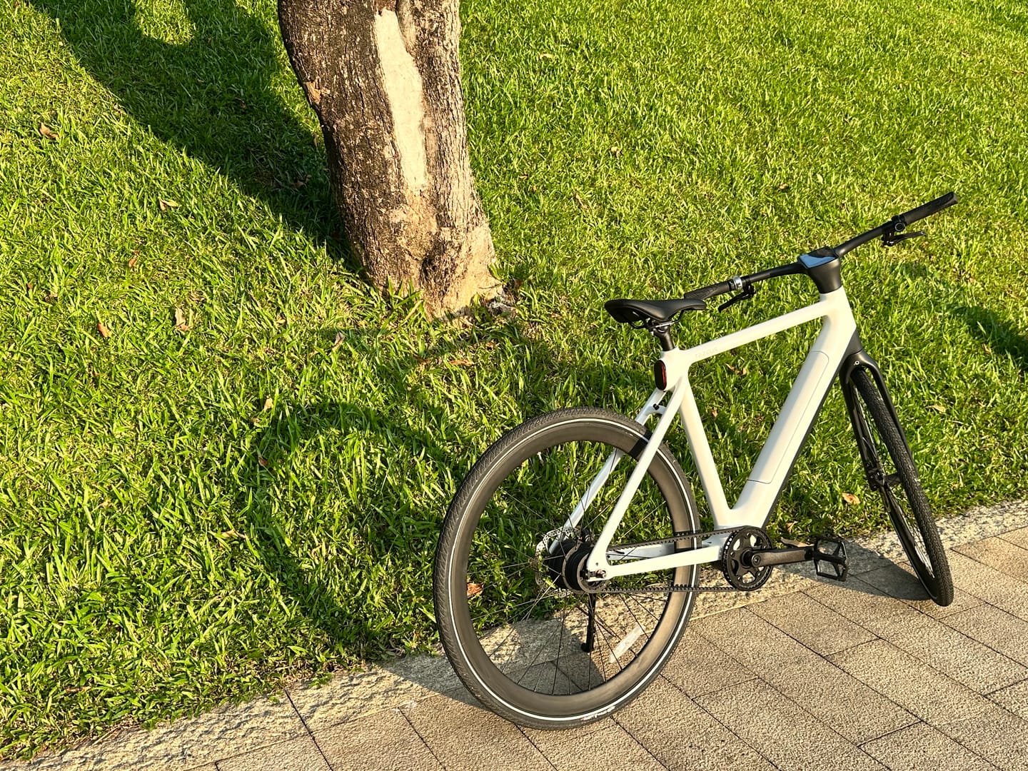 Customer photo review of Tezeus C8