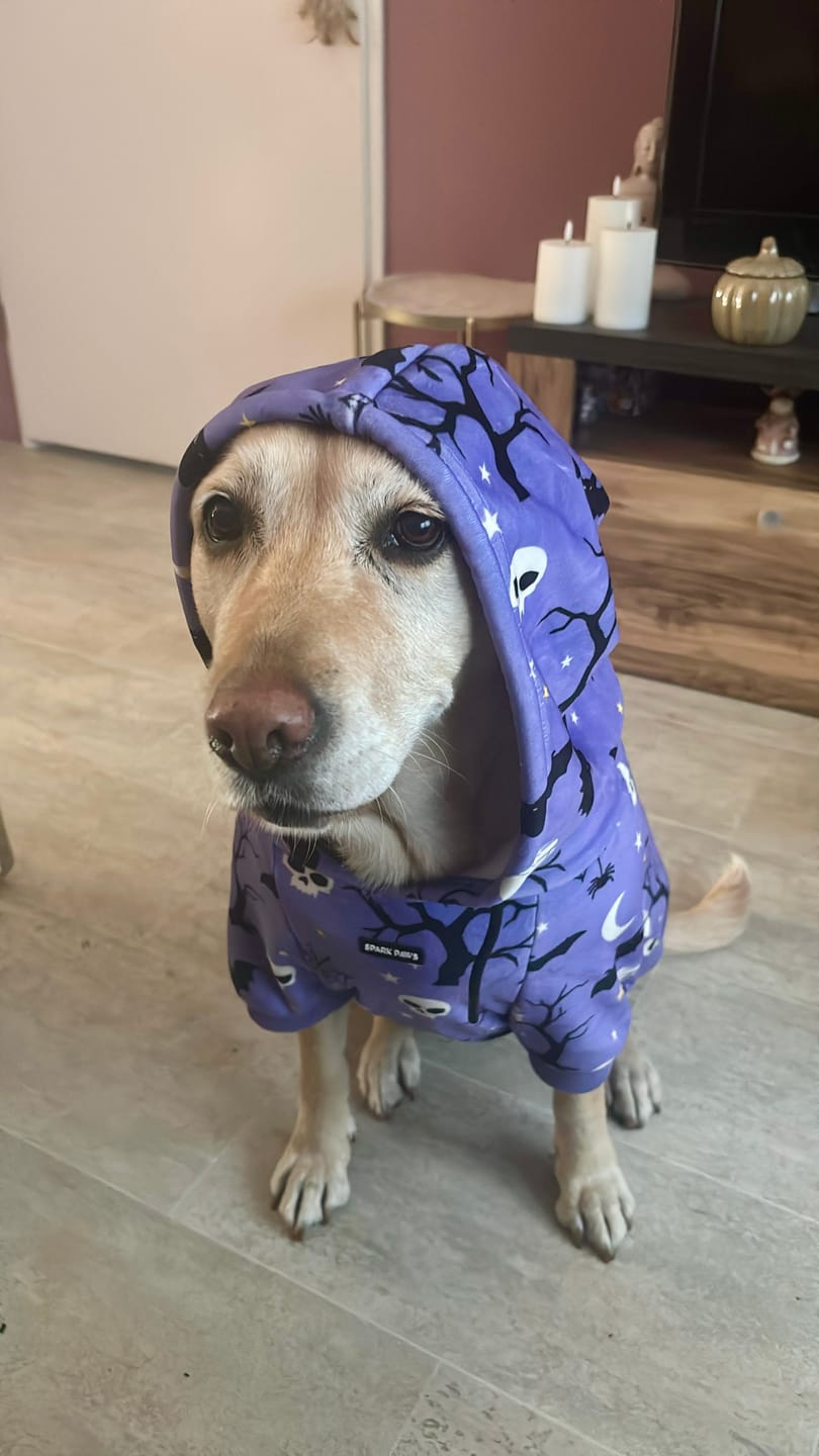Customer photo review of Halloween Dog Hoodie - Purple
