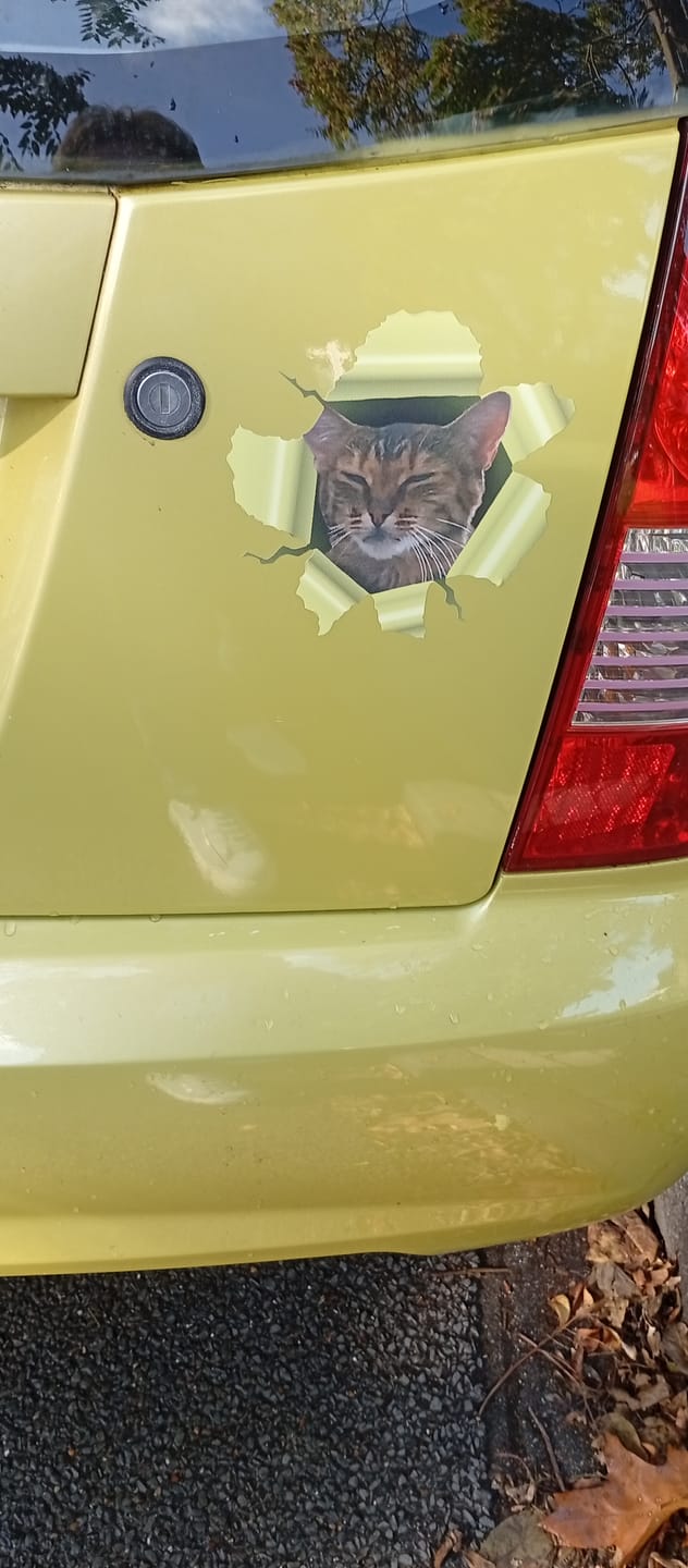 Customer photo review of Spähendes Foto - Individueller Autoaufkleber