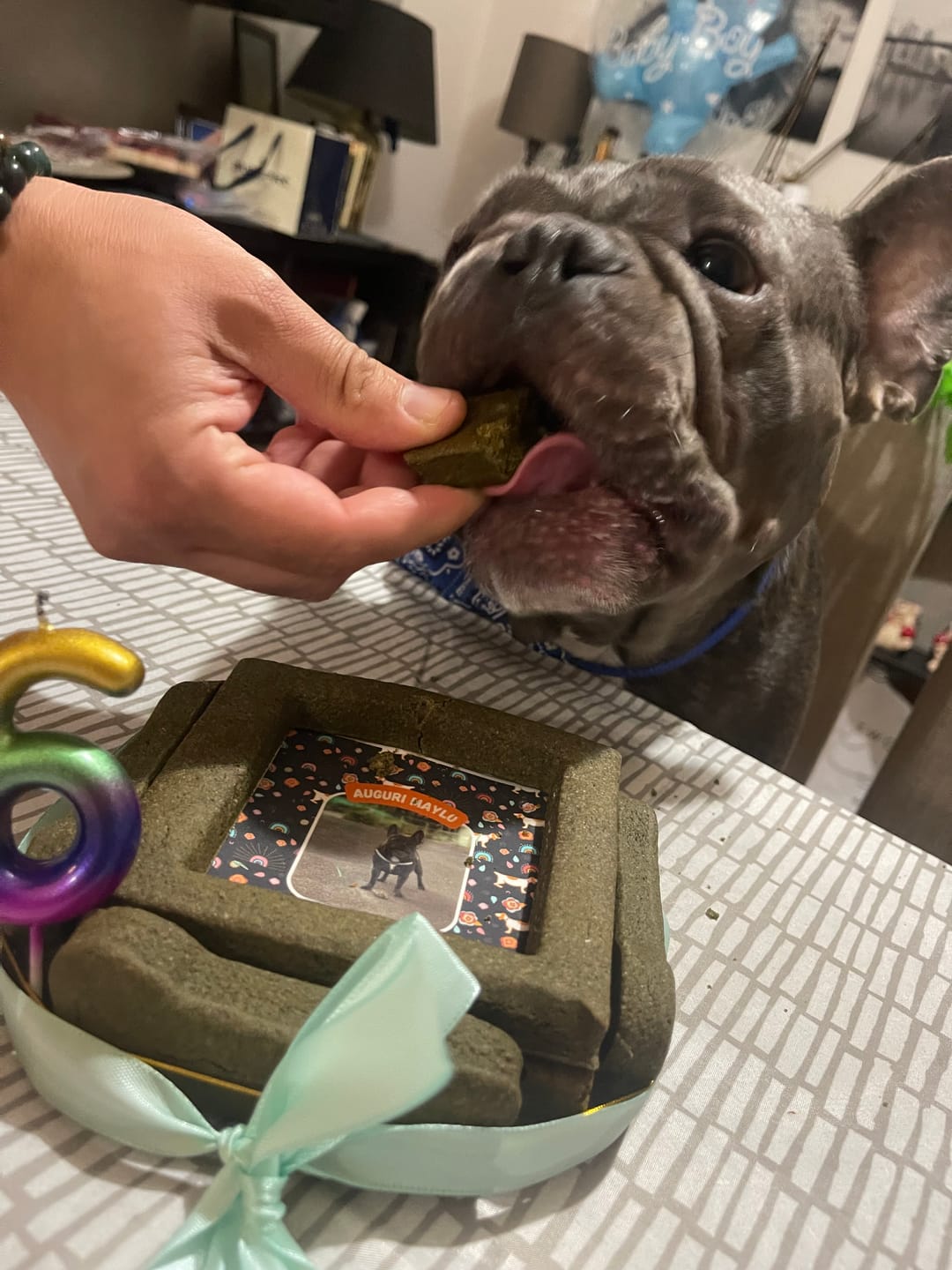 Customer photo review of BiscoBau Fotogenica Torta Per Cani con Fotografia e Messaggio (senza decorazioni di glassa o pasta di zucchero)