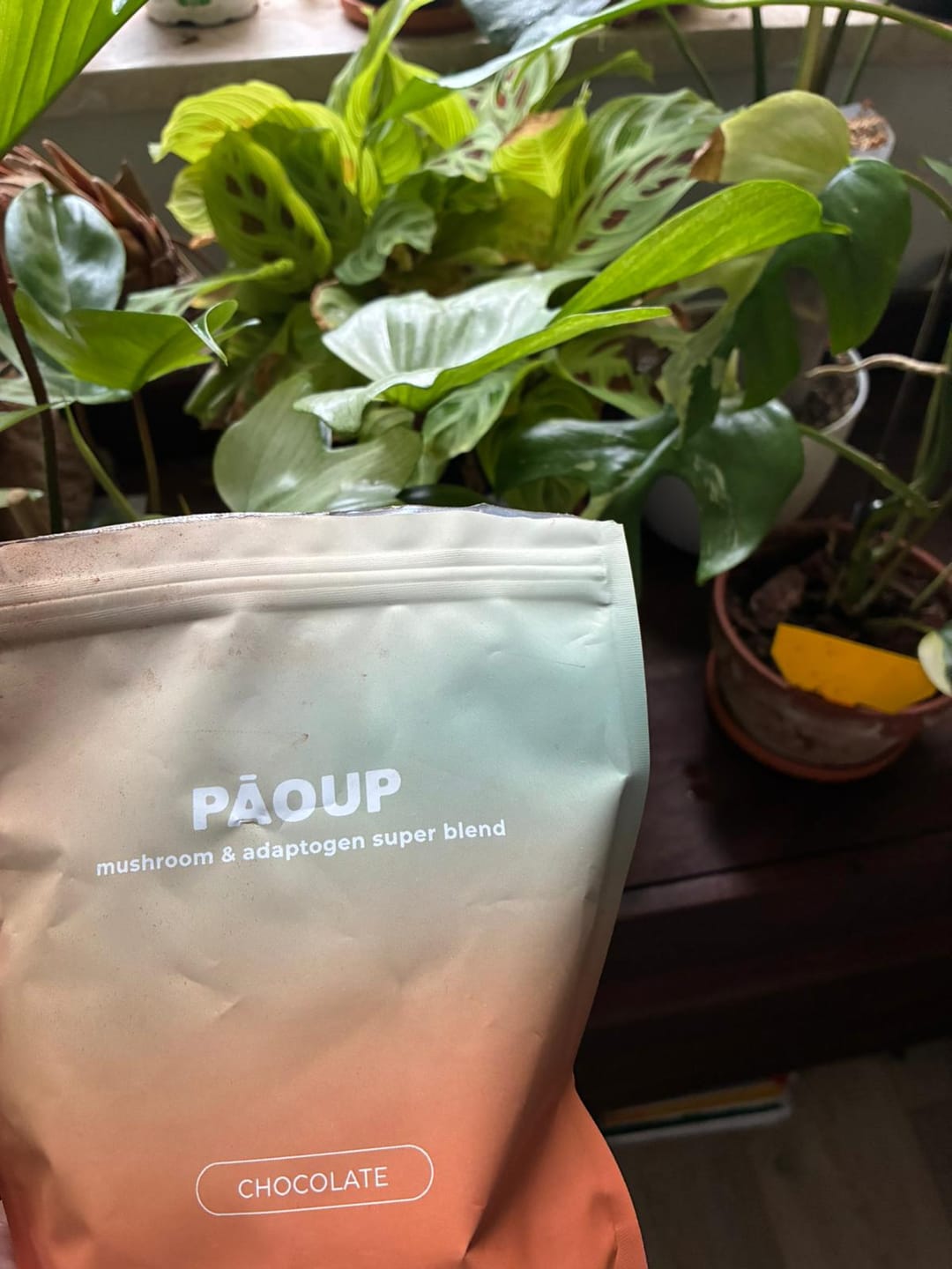 Customer photo review of PĀOUP Cacao