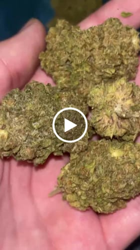 Customer video review of Vanilla Frosting – Budget THCA