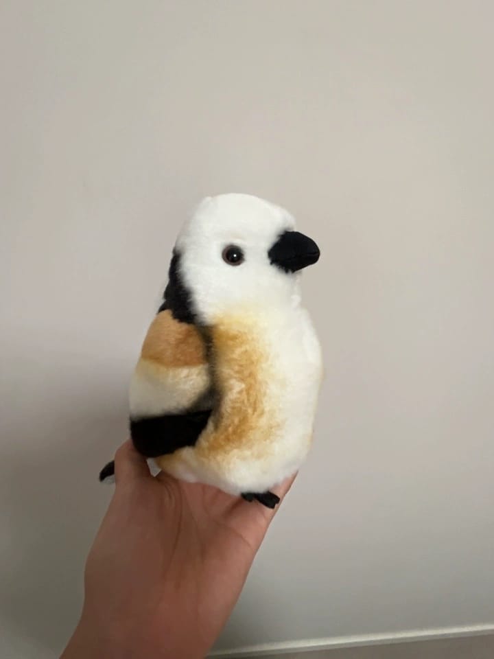 Customer photo review of Adorable Long-Tailed Tit Bird Plush – Realistic and Chubby Design