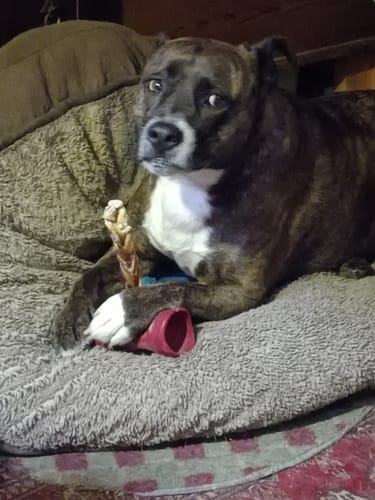 Customer photo review of Starter Pack