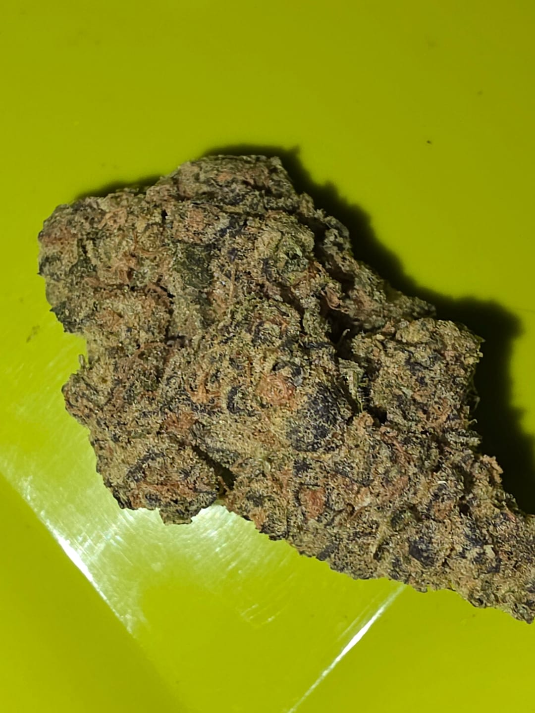 Customer photo review of Hindu Kush