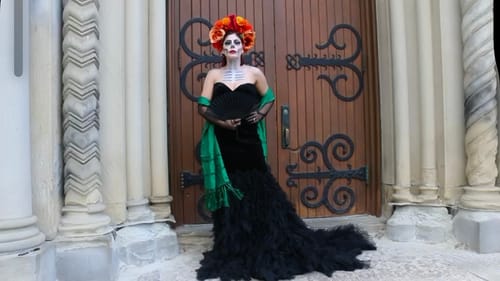 Customer photo review of Black Sheer Opera Gloves